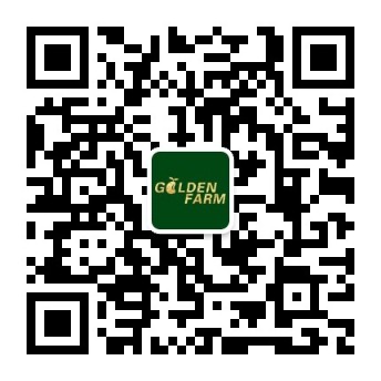 8868体育官方网站-最新体育赛事直播平台