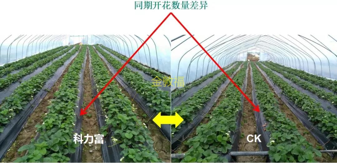 8868体育官方网站-最新体育赛事直播平台
