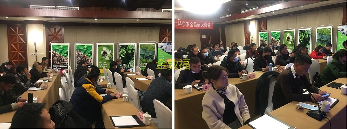 8868体育官方网站-最新体育赛事直播平台