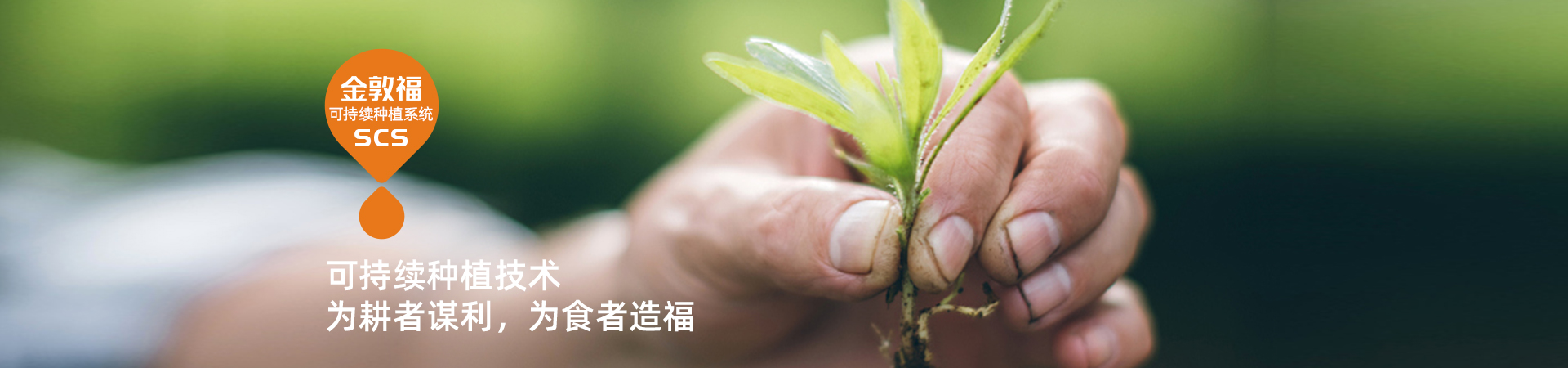 8868体育官方网站-最新体育赛事直播平台