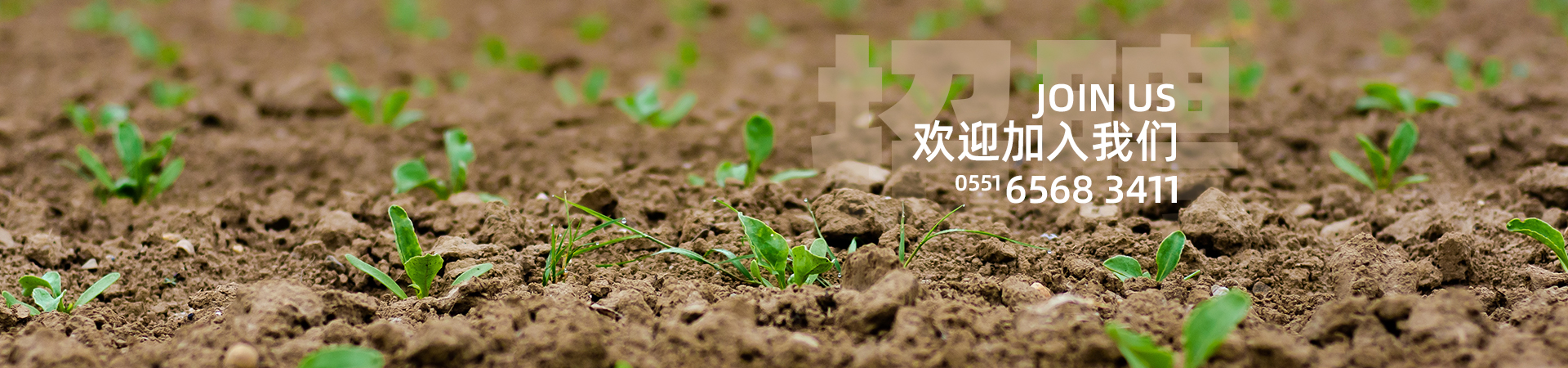 8868体育官方网站-最新体育赛事直播平台