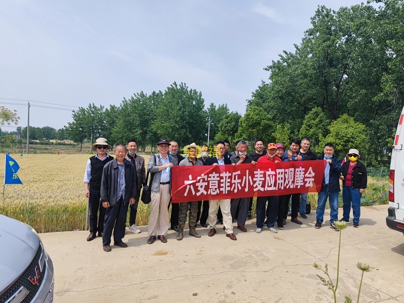 8868体育官方网站-最新体育赛事直播平台