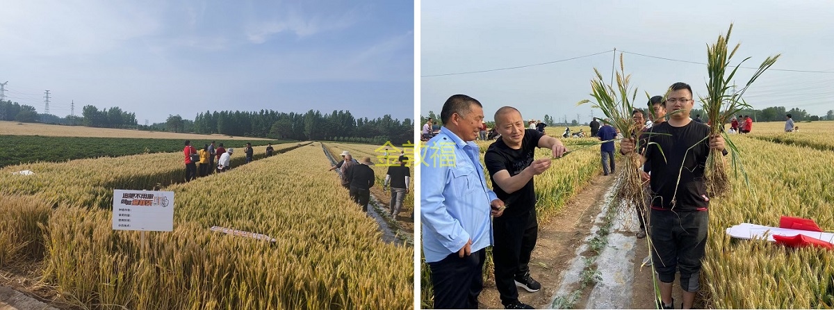 8868体育官方网站-最新体育赛事直播平台