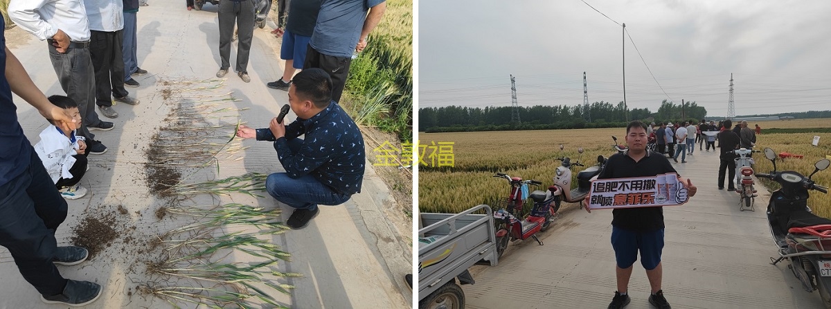 8868体育官方网站-最新体育赛事直播平台