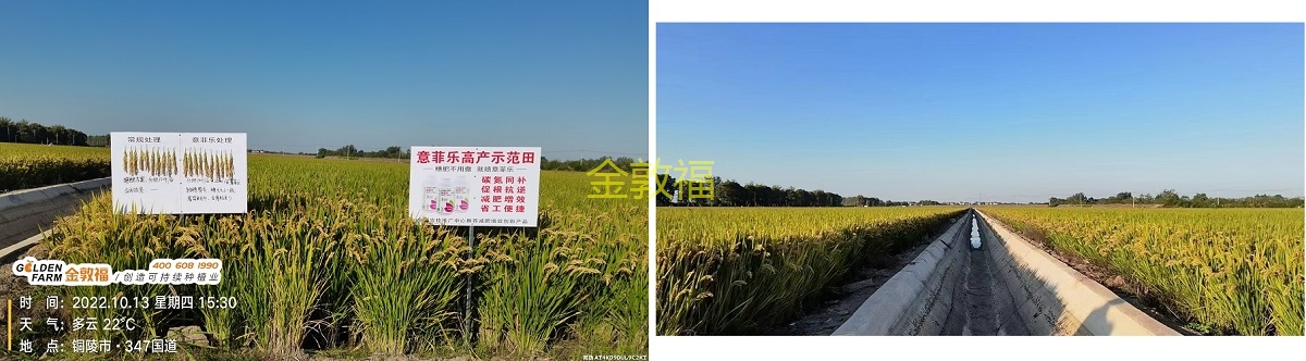 8868体育官方网站-最新体育赛事直播平台