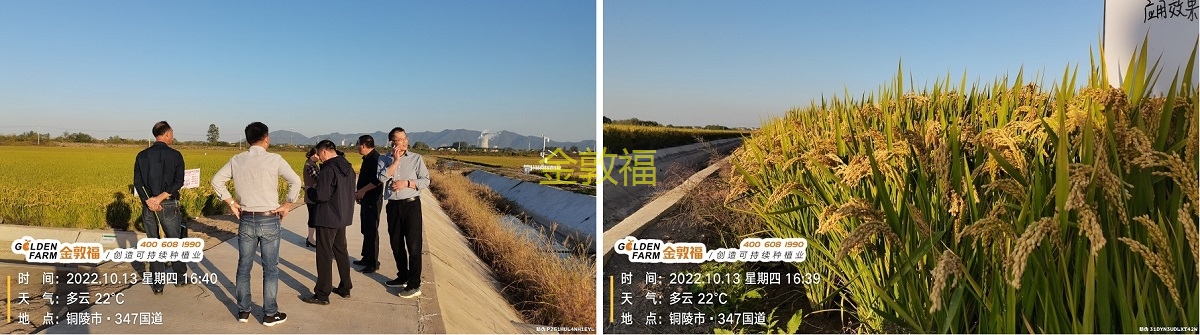 8868体育官方网站-最新体育赛事直播平台
