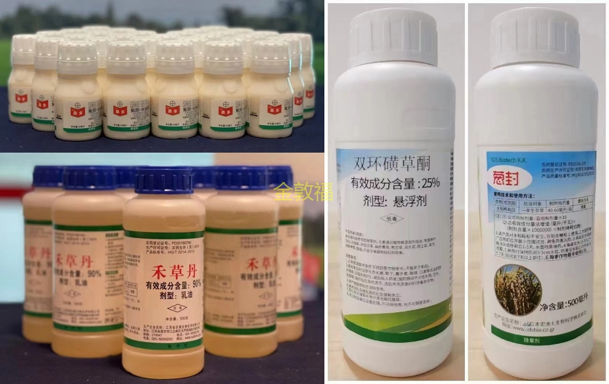 8868体育官方网站-最新体育赛事直播平台