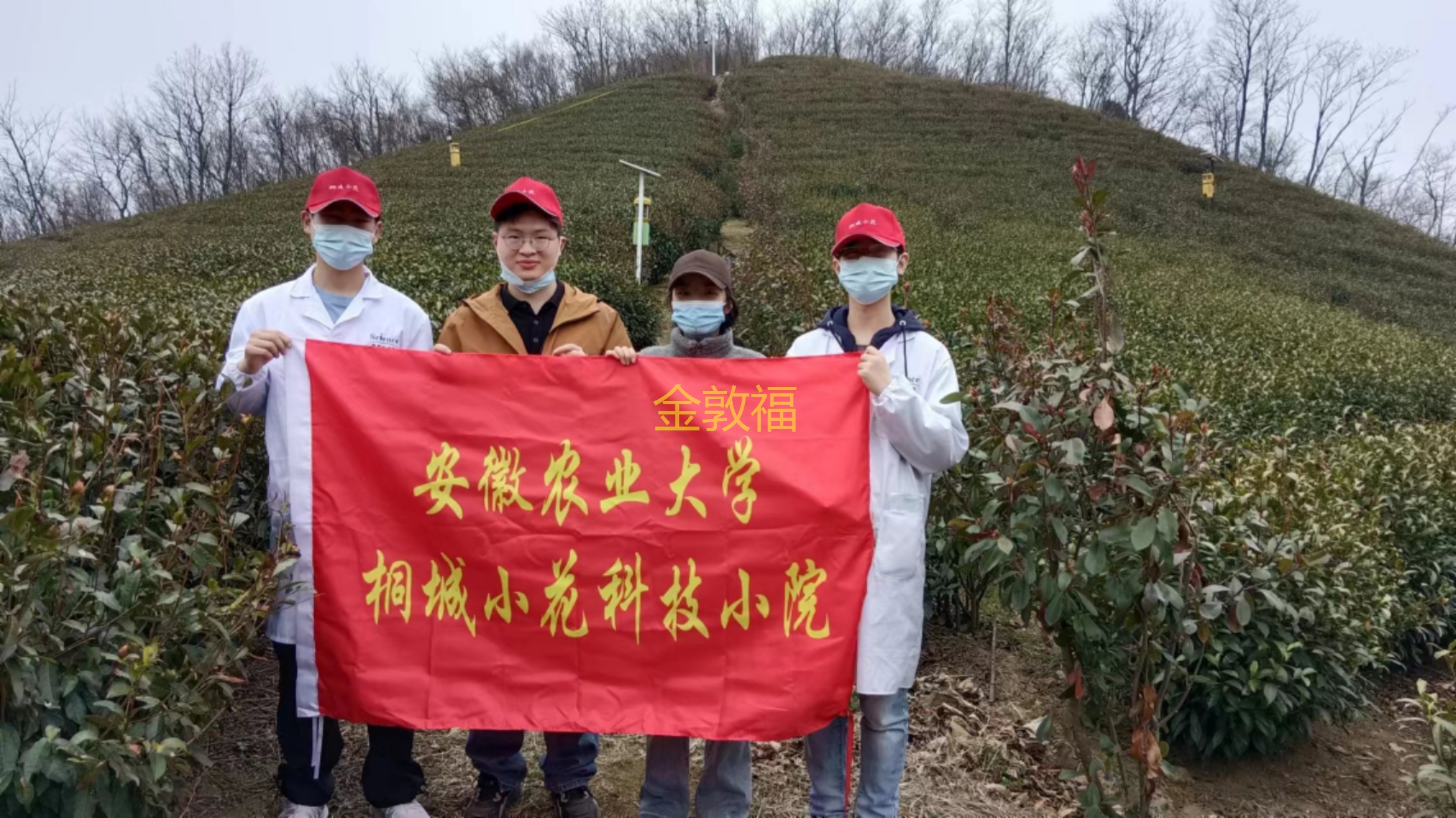8868体育官方网站-最新体育赛事直播平台