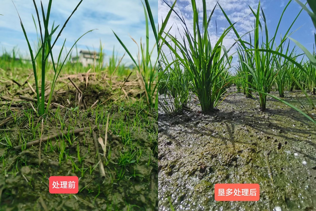8868体育官方网站-最新体育赛事直播平台