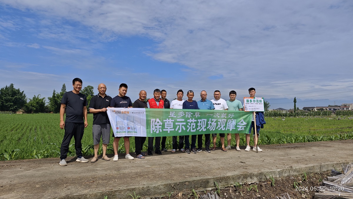 8868体育官方网站-最新体育赛事直播平台